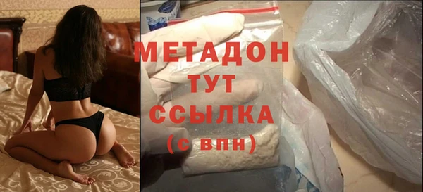 индика Осинники