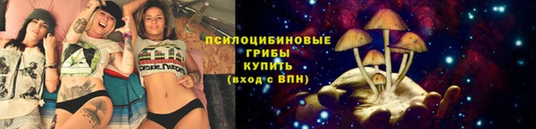 прущие крисы Осташков