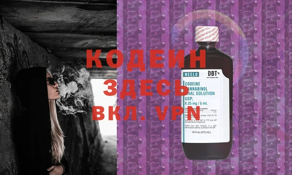 индика Осинники