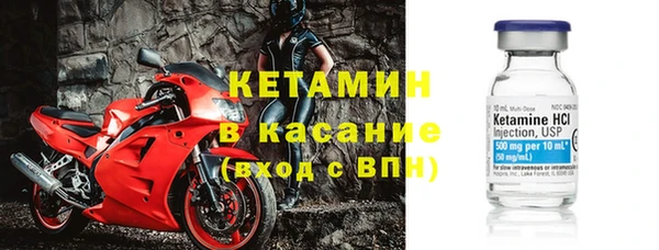 индика Осинники