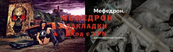 индика Осинники