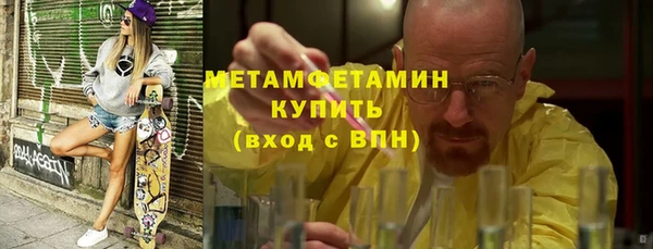 индика Осинники